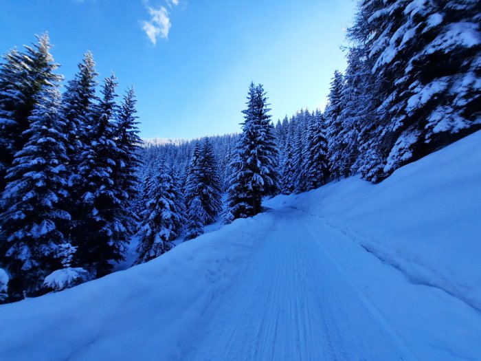 Rodelbahn Sattelberg